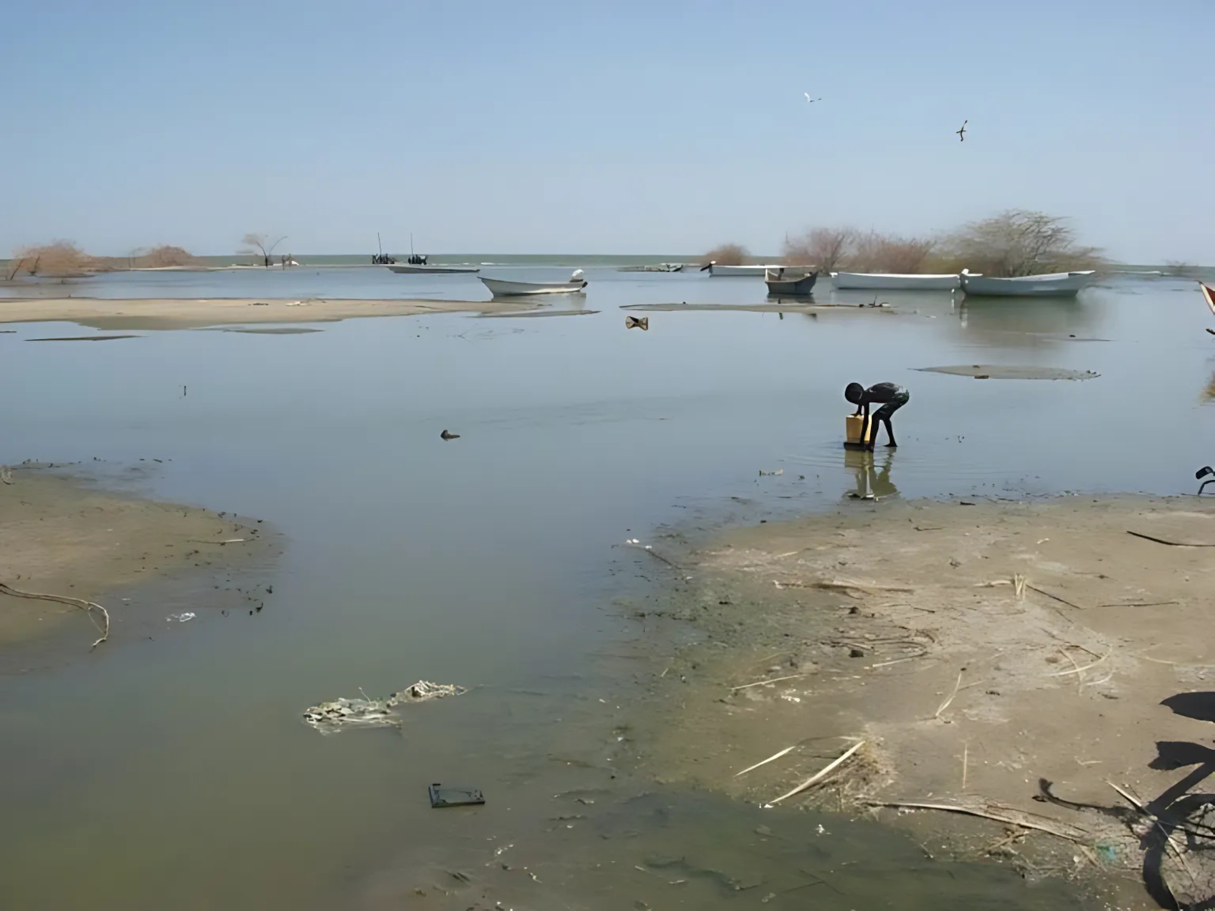 Lake Chad Region image 2